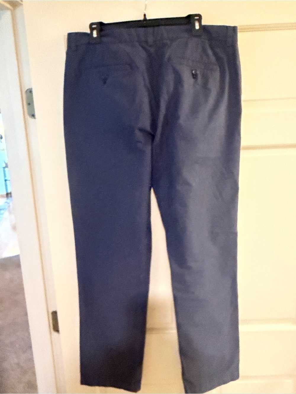 Banana Republic Navy Chinos
